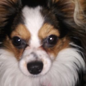 Meet your Posher, Laurie